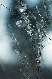 Capcom公布《街头霸王6》全新肯主题曲